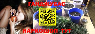 гашиш Тара