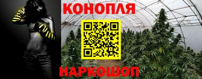 гашиш Тара